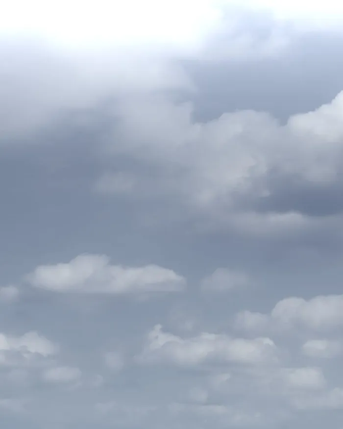 The main character hides his strength Chapter 28 715 150