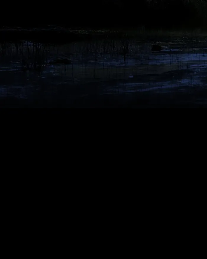 The main character hides his strength Chapter 28 737 172