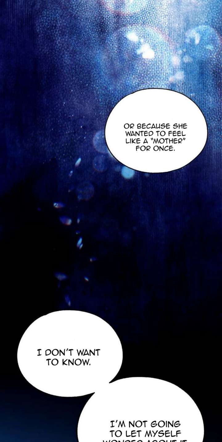 ch 213 37