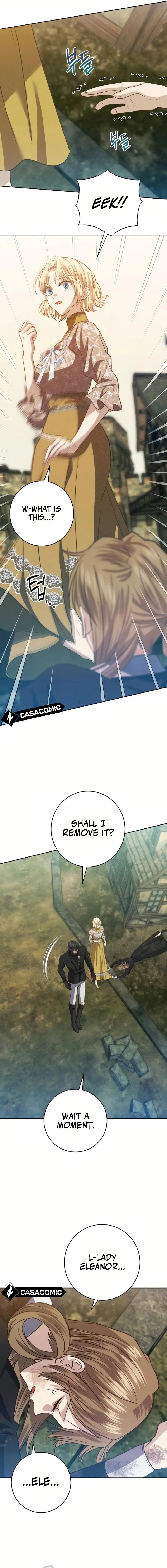 Duchess Mecklen’s Elegant Rebellion Chapter 28 66 11