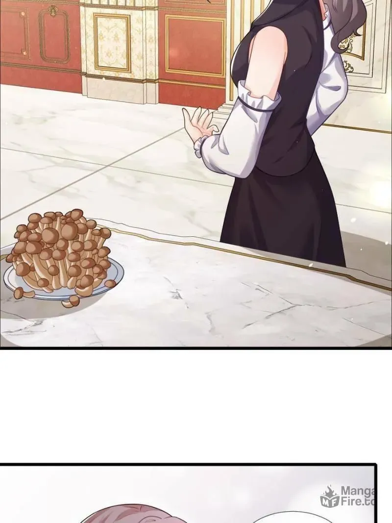6f3e4827f66c