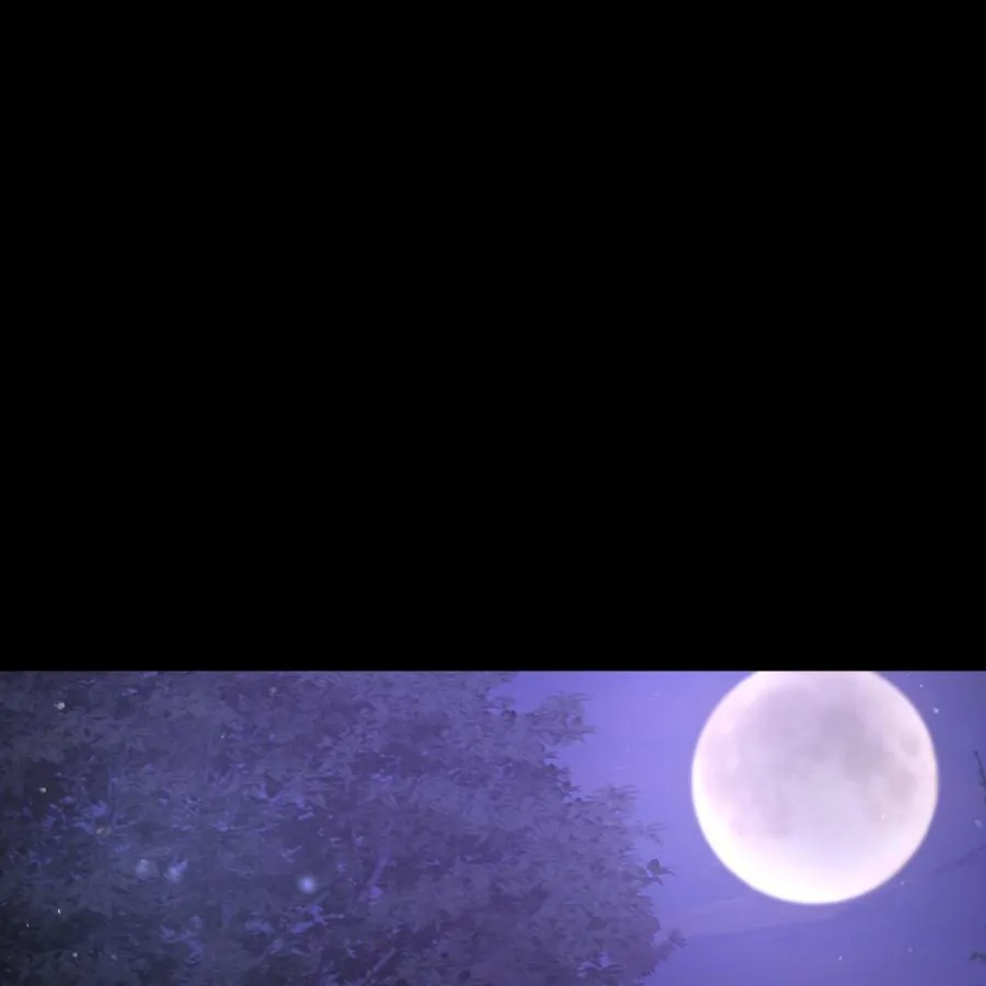 THE KING’S ILLEGITMATE DAUGHTER Chapter 1 379 072