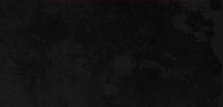 THE KING’S ILLEGITMATE DAUGHTER Chapter 5 328 36