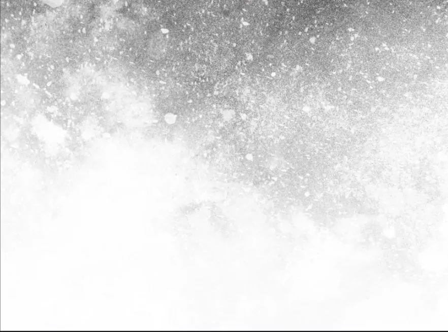 THE KING’S ILLEGITMATE DAUGHTER Chapter 5 333 41