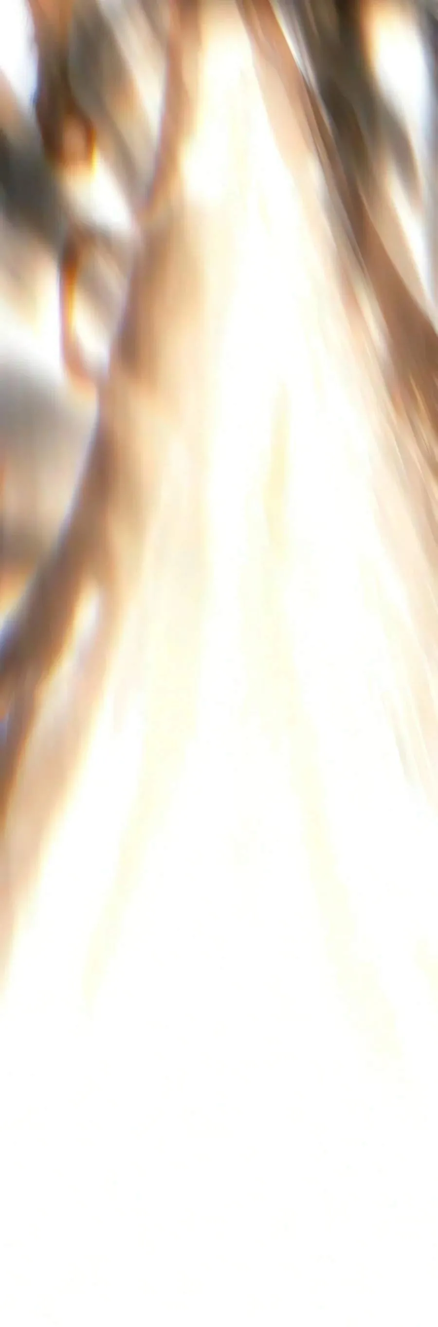 8e5c8960bca4