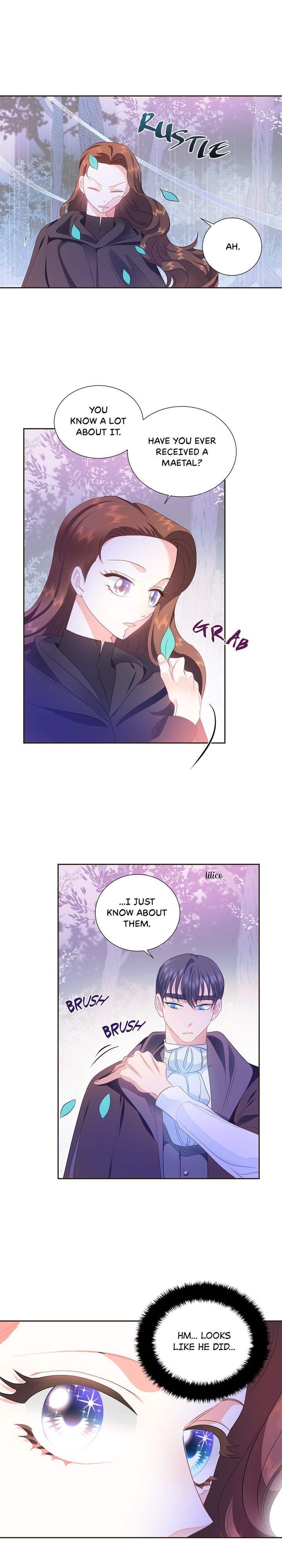 The Princess’ Spaceship Chapter 31 75 05