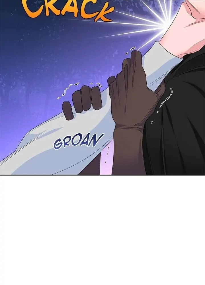 The Princess’ Spaceship Chapter 49 167 34