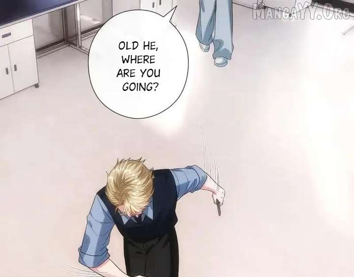 51