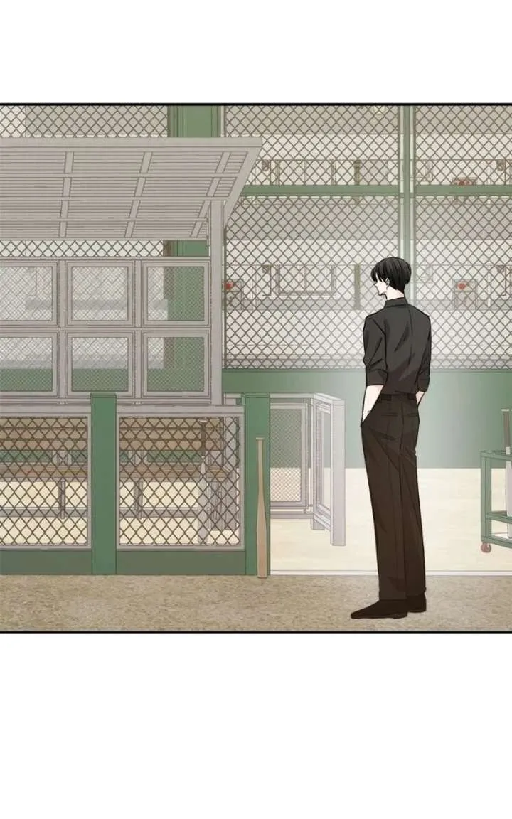 Disaster Is Always Nearby Chapter 84 336 9f3913d57e1b