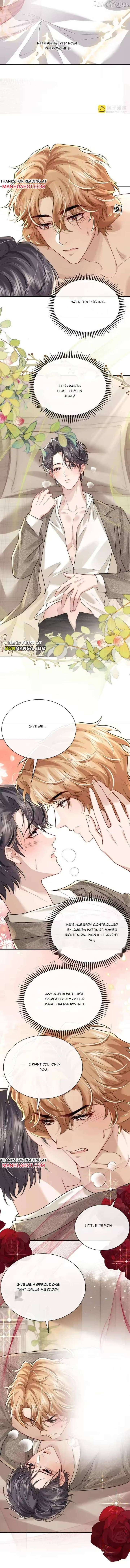 ch 204 4