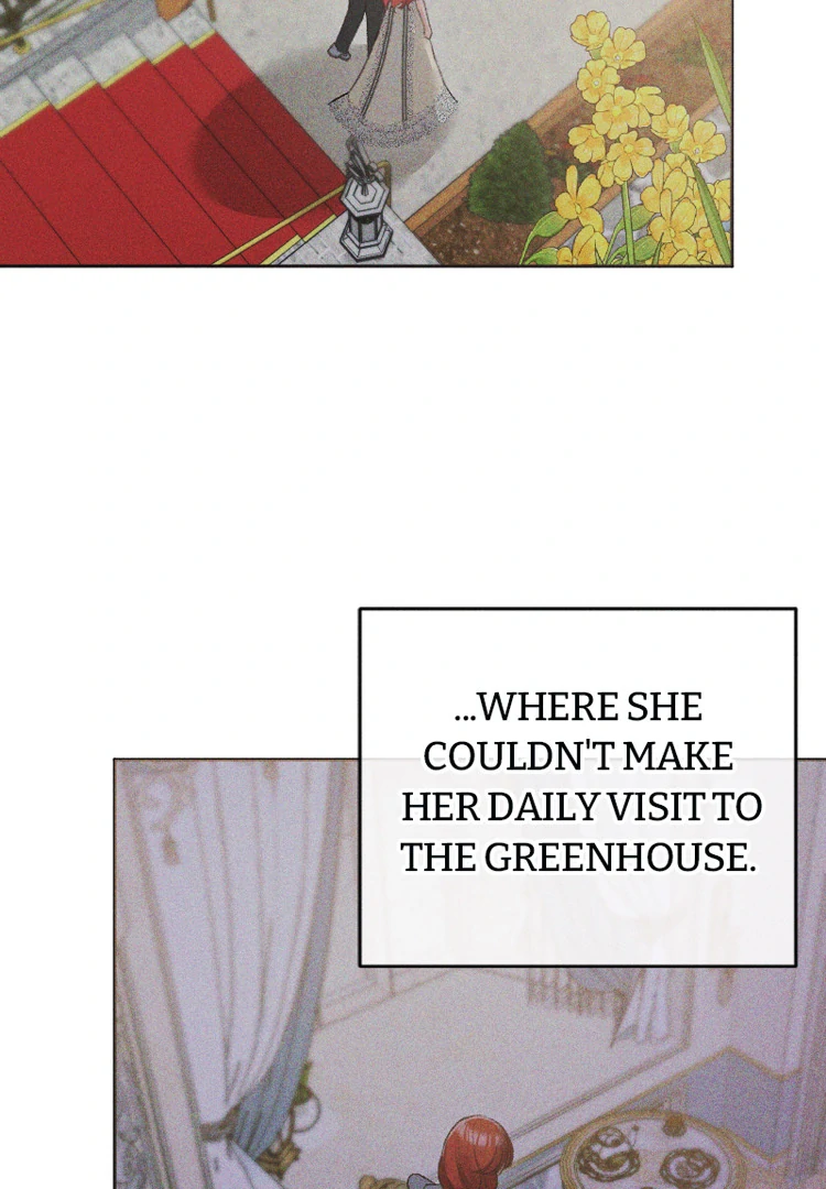 If You Wish for My Despair Chapter 94 456 077