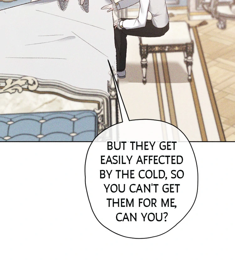 If You Wish for My Despair Chapter 94 464 085