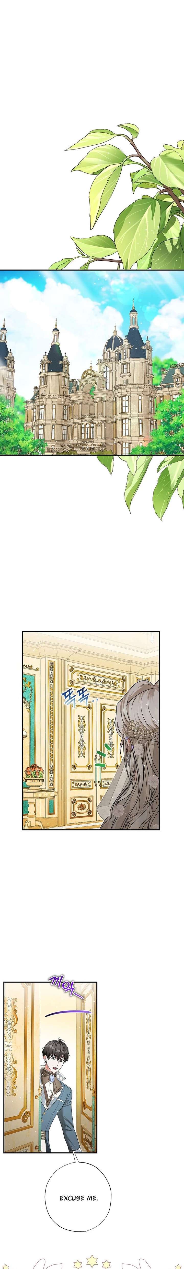 ch 81 2