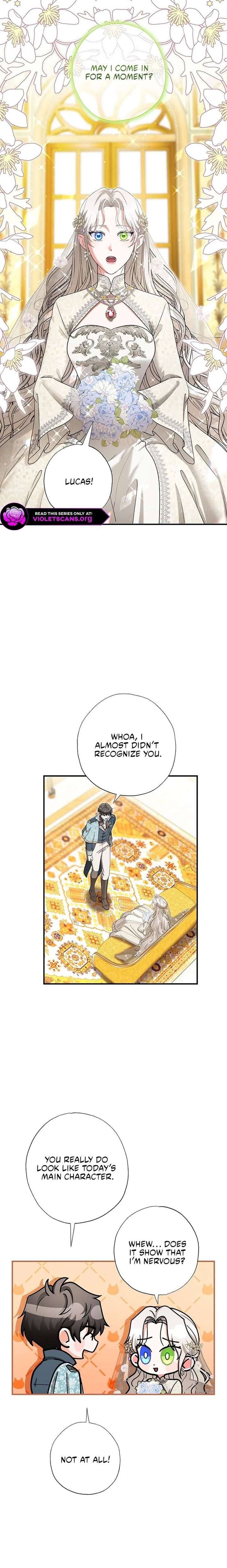 ch 81 3