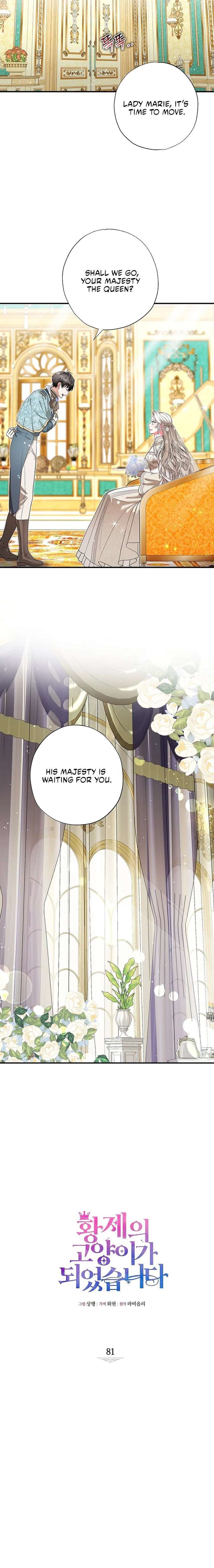 ch 81 5