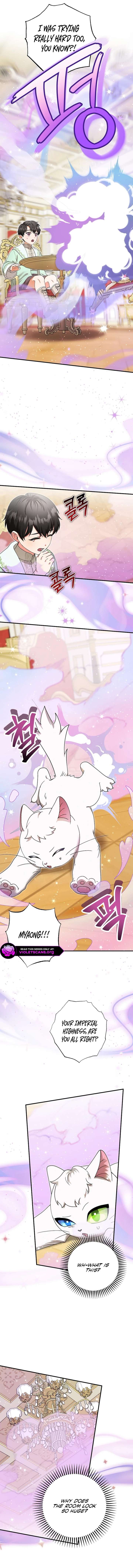 ch 84 5