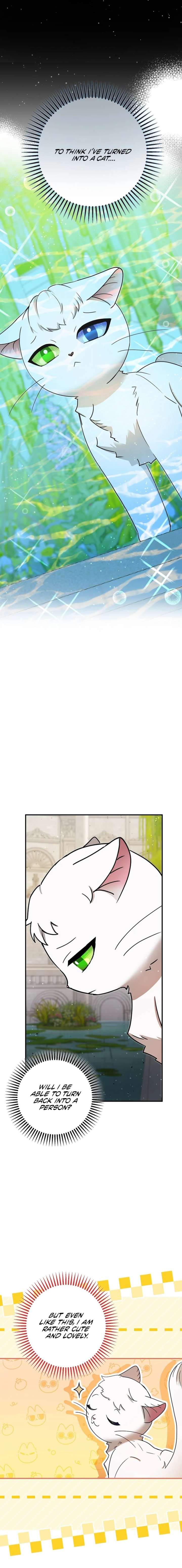 ch 84 7