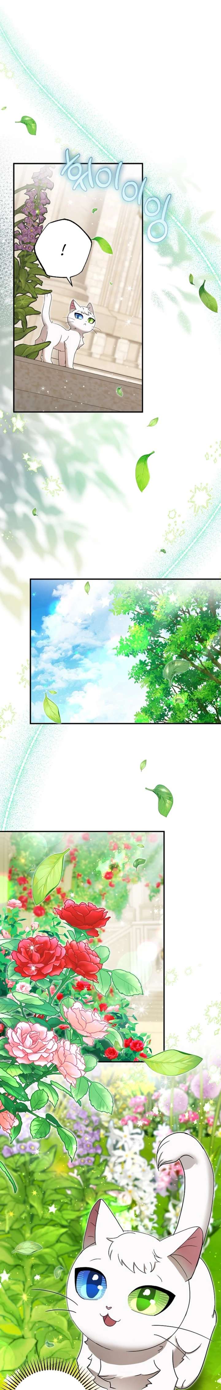 ch 84 8