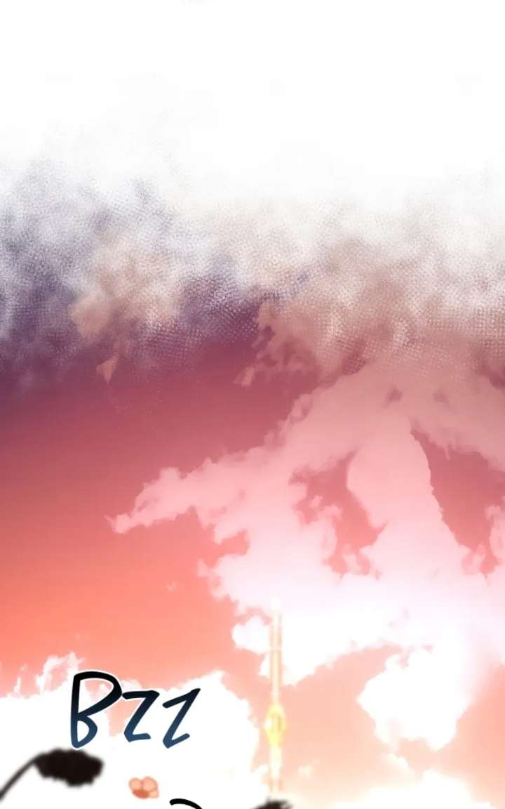 066