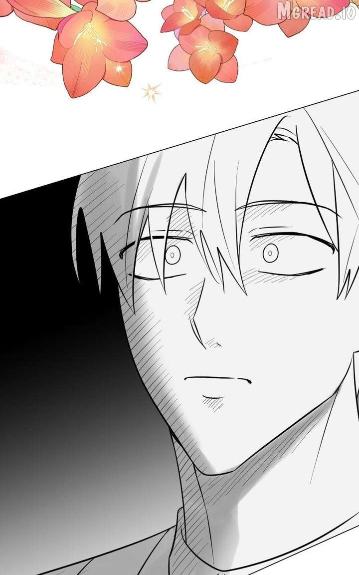 ch 75 41