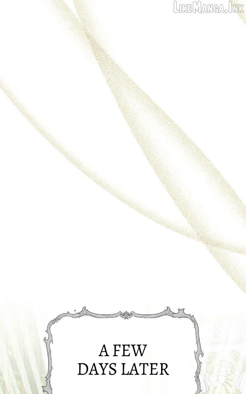 c678622e6afd