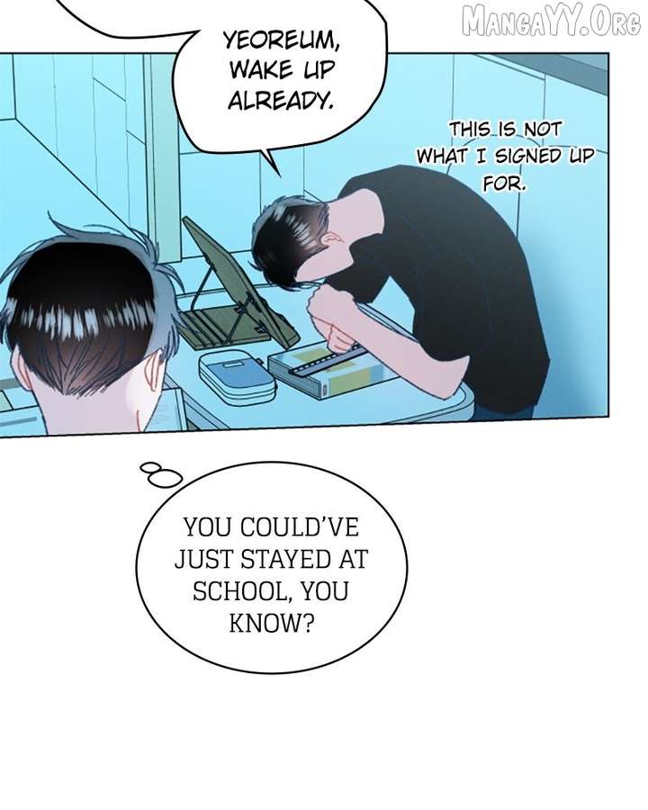 41