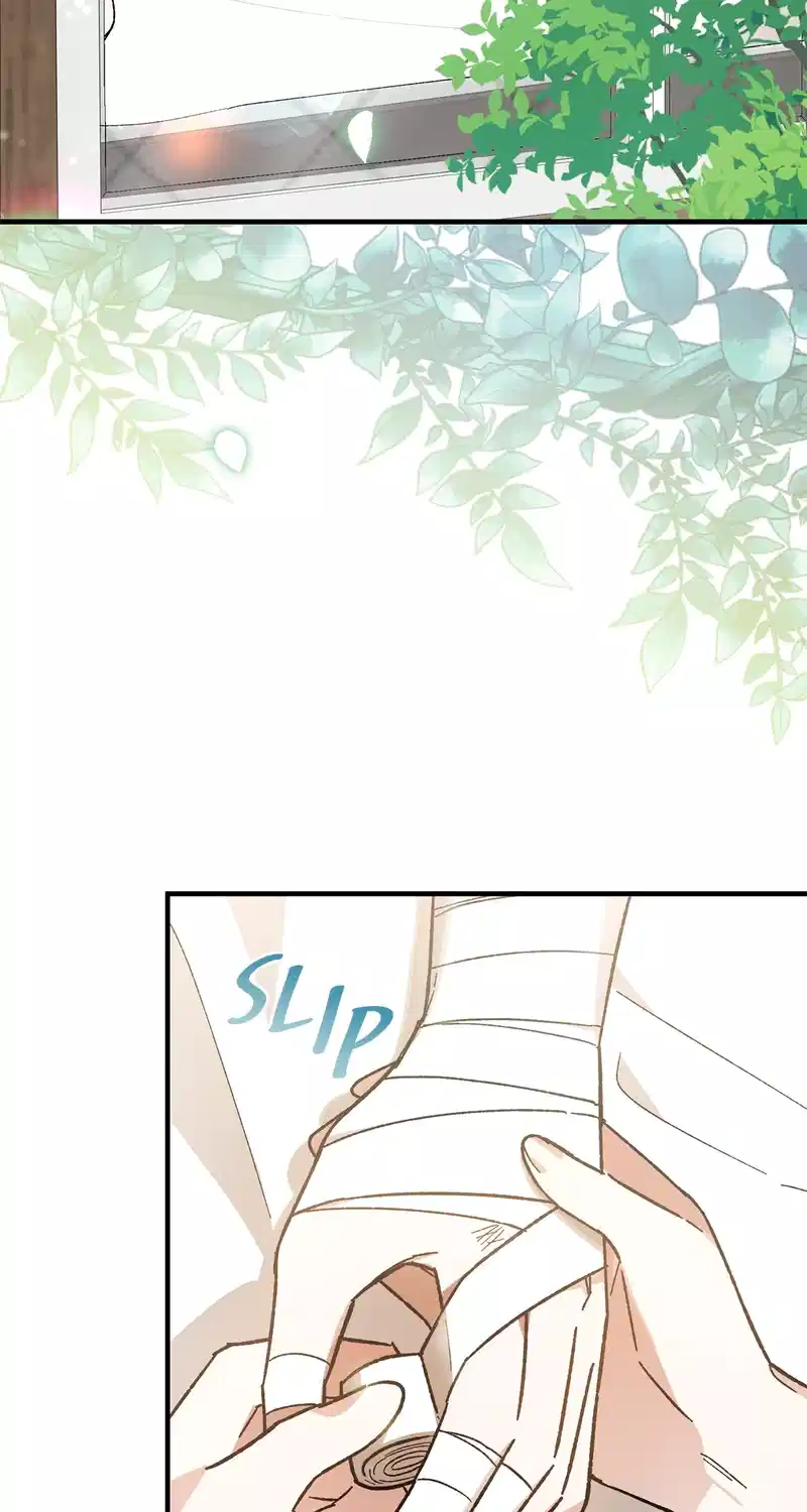Let Me Kidnap the Male Lead! Chapter 38 279 002