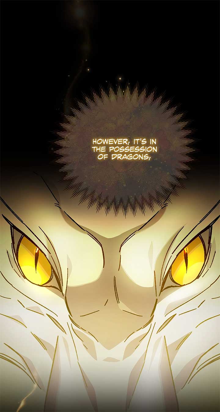 Let Me Kidnap the Male Lead! Chapter 42 335 013