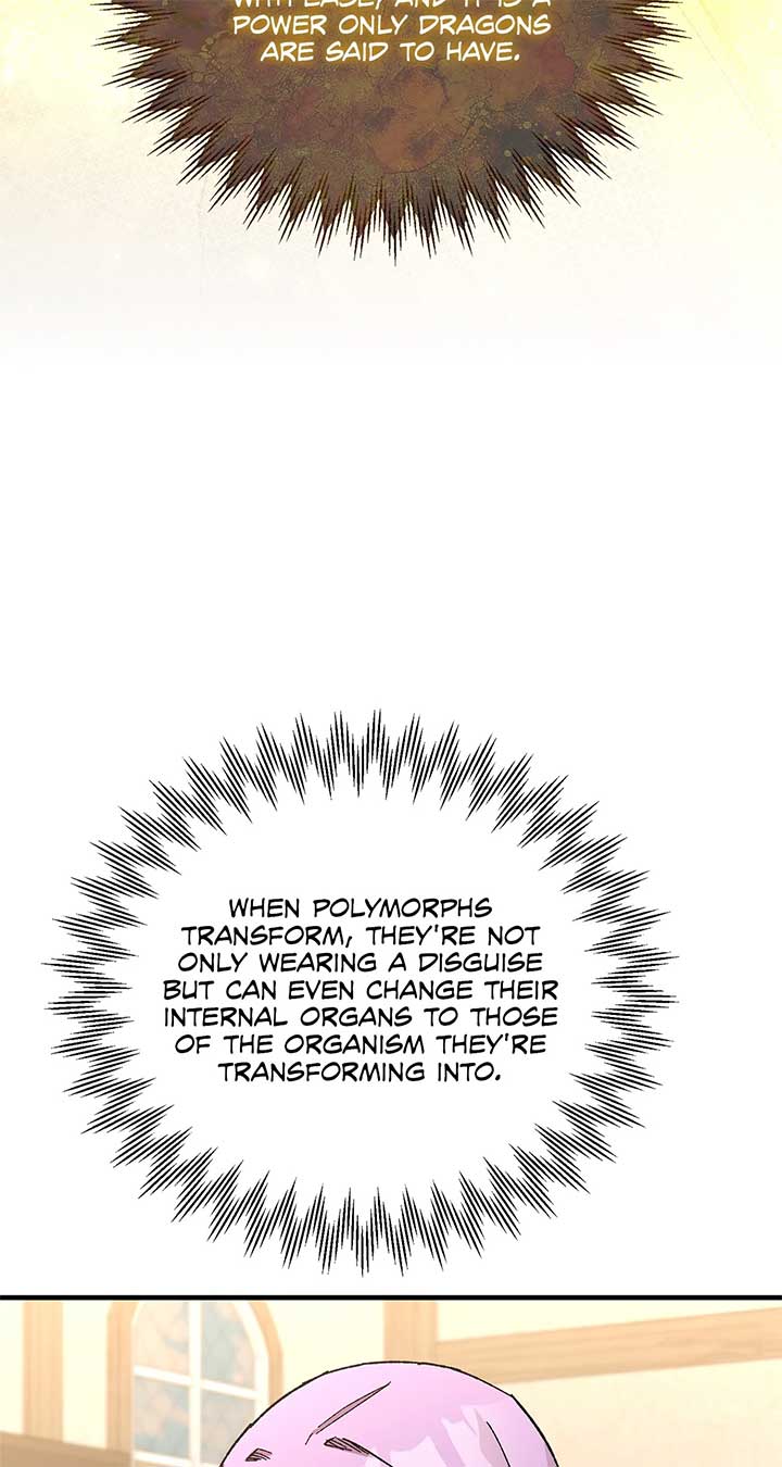 Let Me Kidnap the Male Lead! Chapter 42 340 018