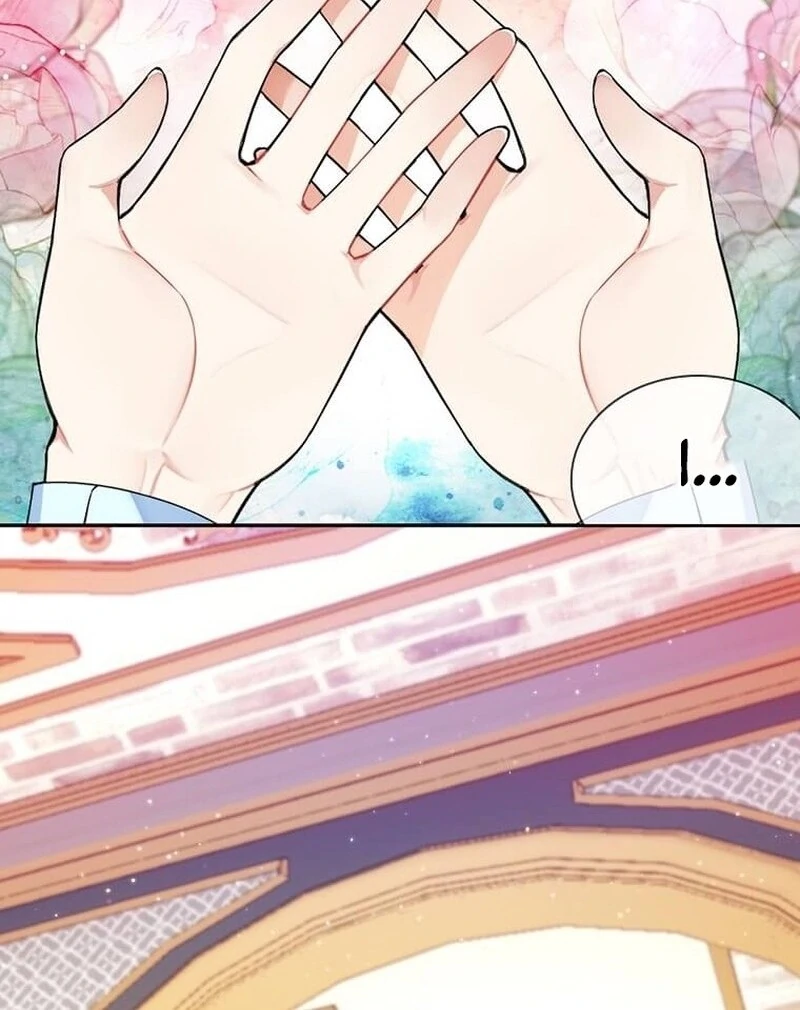 81