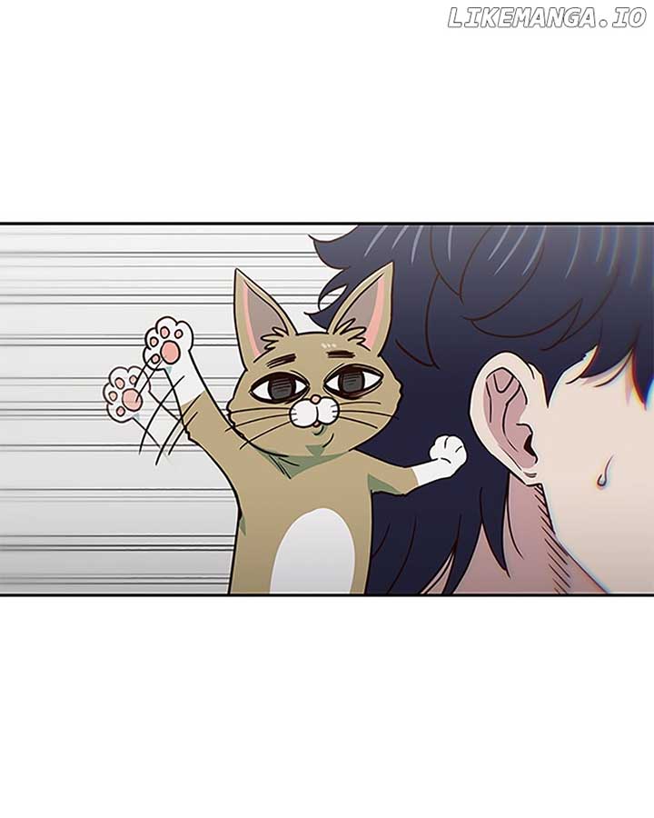 155