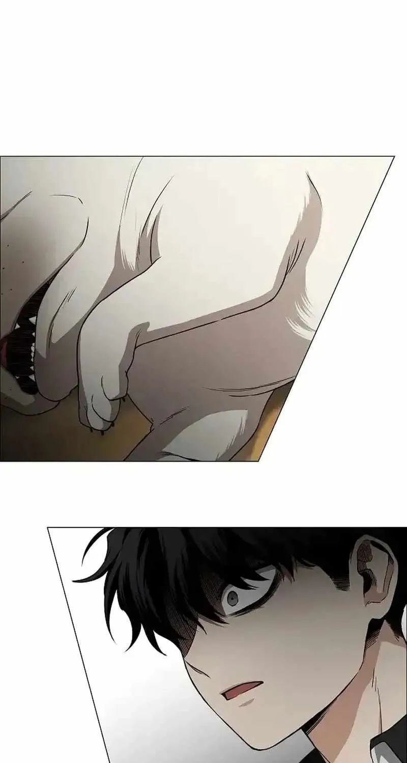 7bf69a8aa249