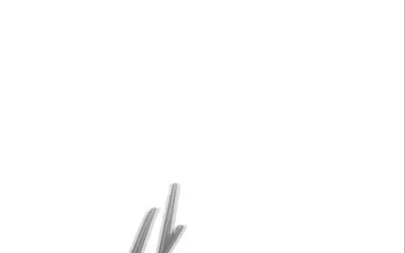 9a559b476502
