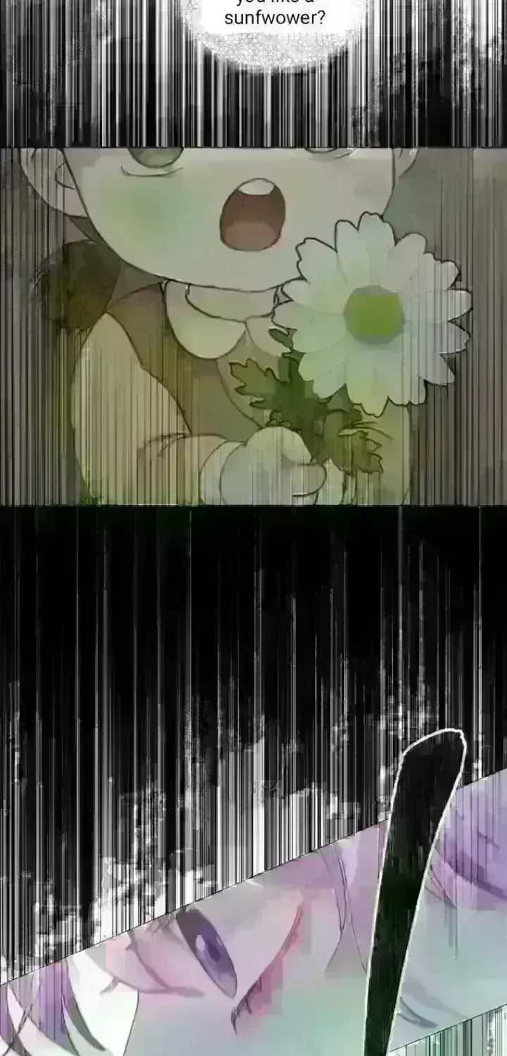 e794ed4ecd55