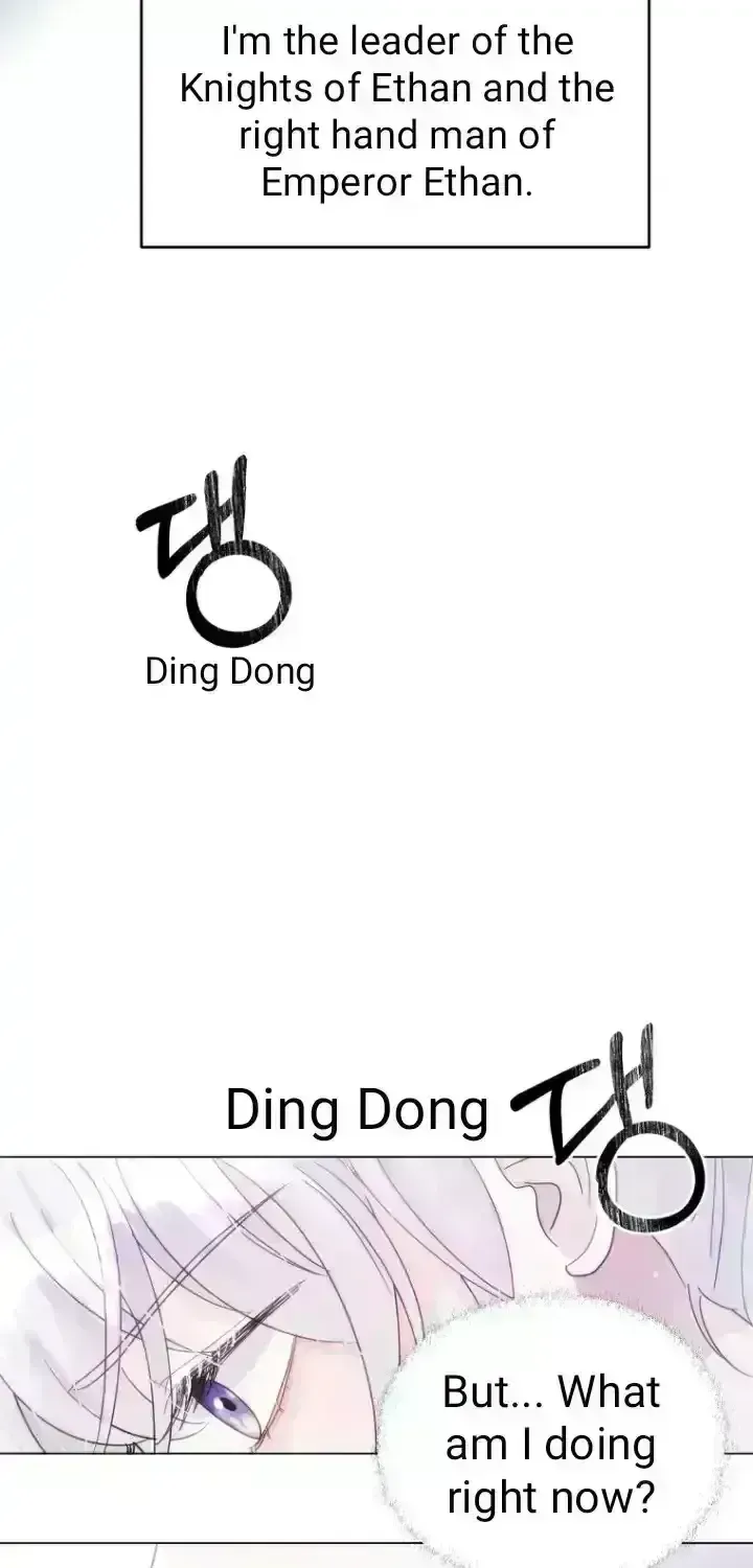 d5c8a0e81bf7