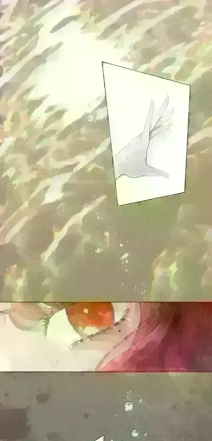 7c245800c82c