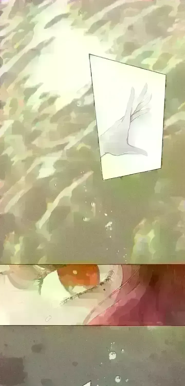 dfecc5a83956