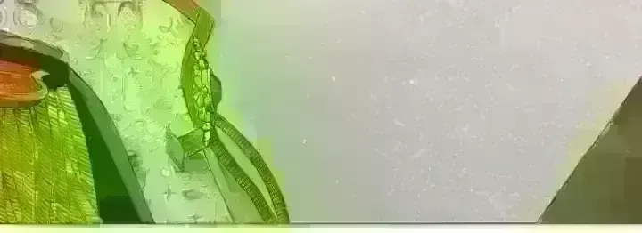 892393377190