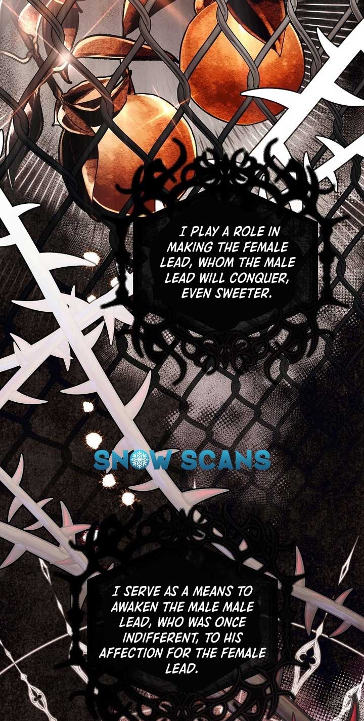 The Regretful Villainess Is Happy Because She Got Divorced Chapter 1 105 7