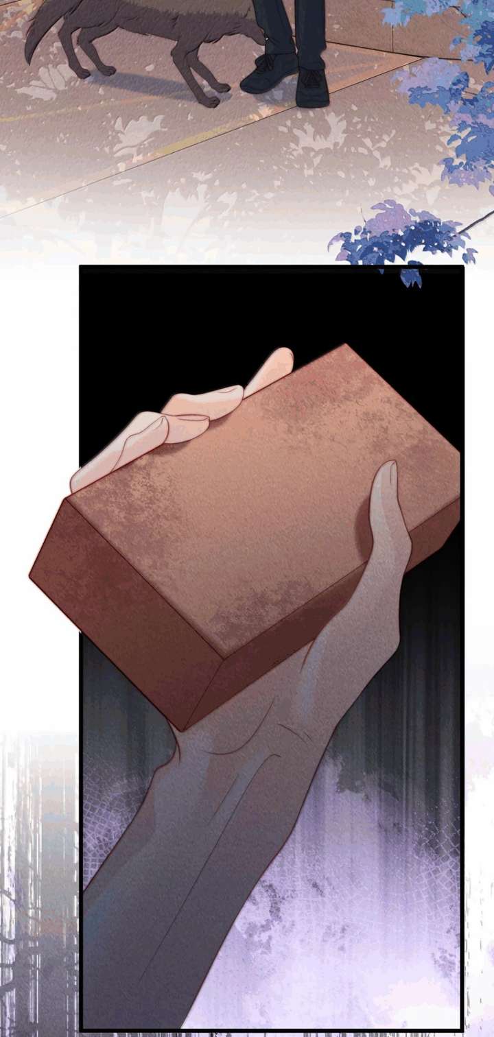 ch 35 29