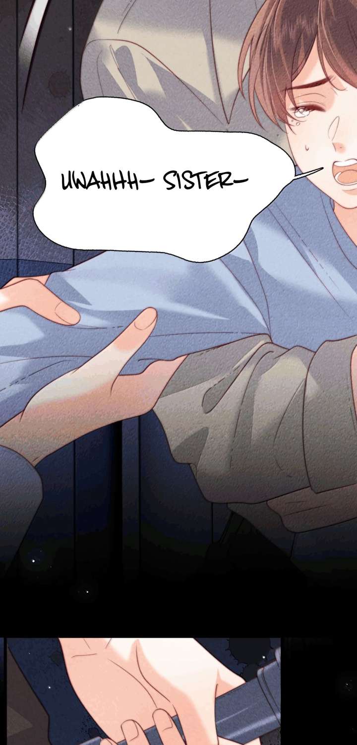 ch 37 31