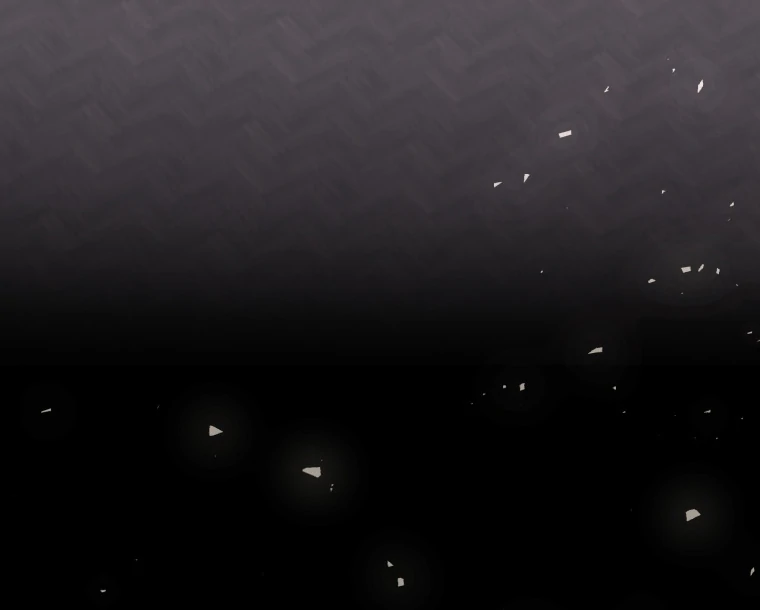 009