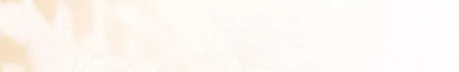 cdc5b2a78551