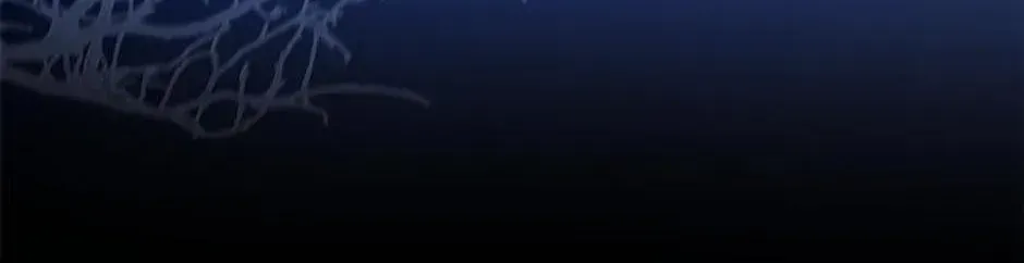 32a9dddf0640
