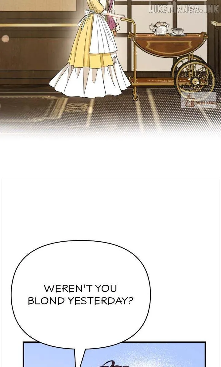 The Crown Prince’s Maid Makes Tea Very Well Chapter 55 347 17dbdfc7e033