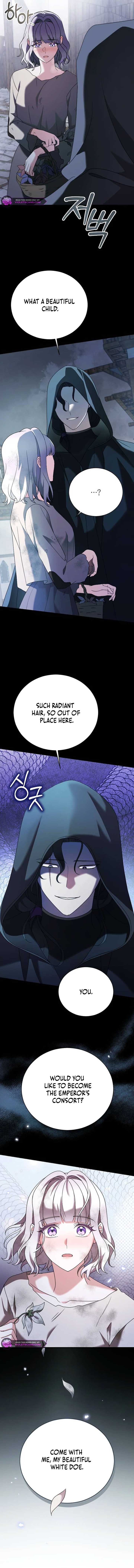 The Empress's Beast Selection Chapter 16 78 16