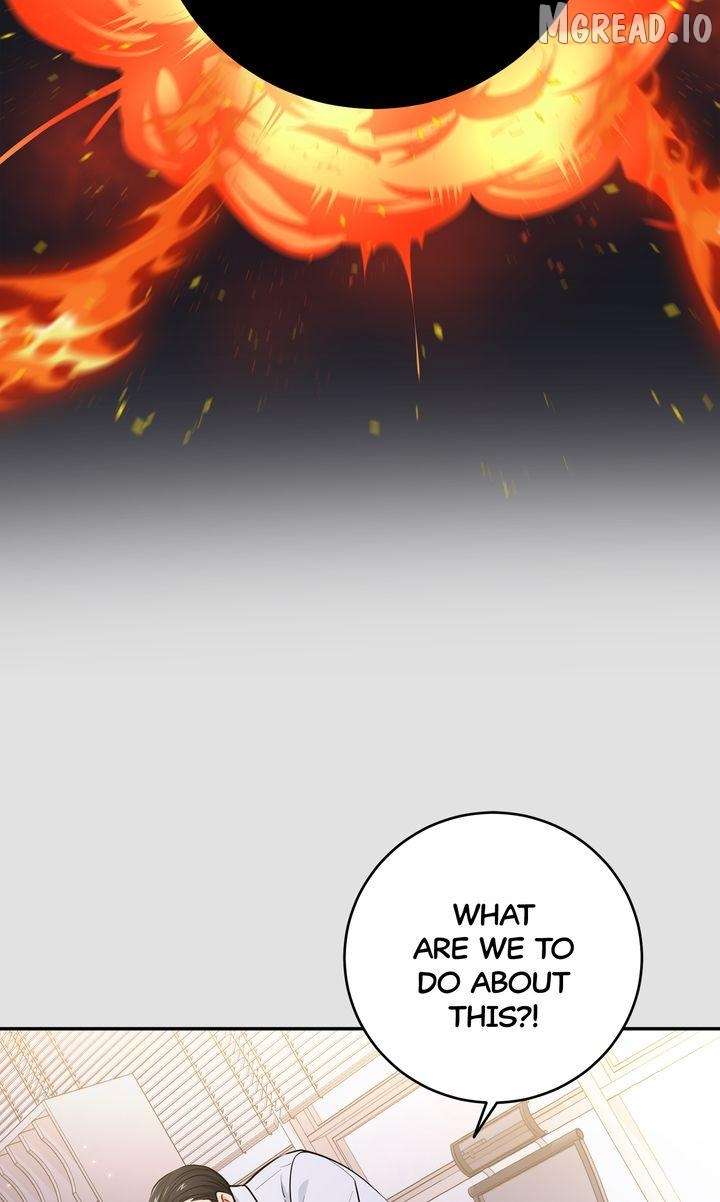 ch 51 13