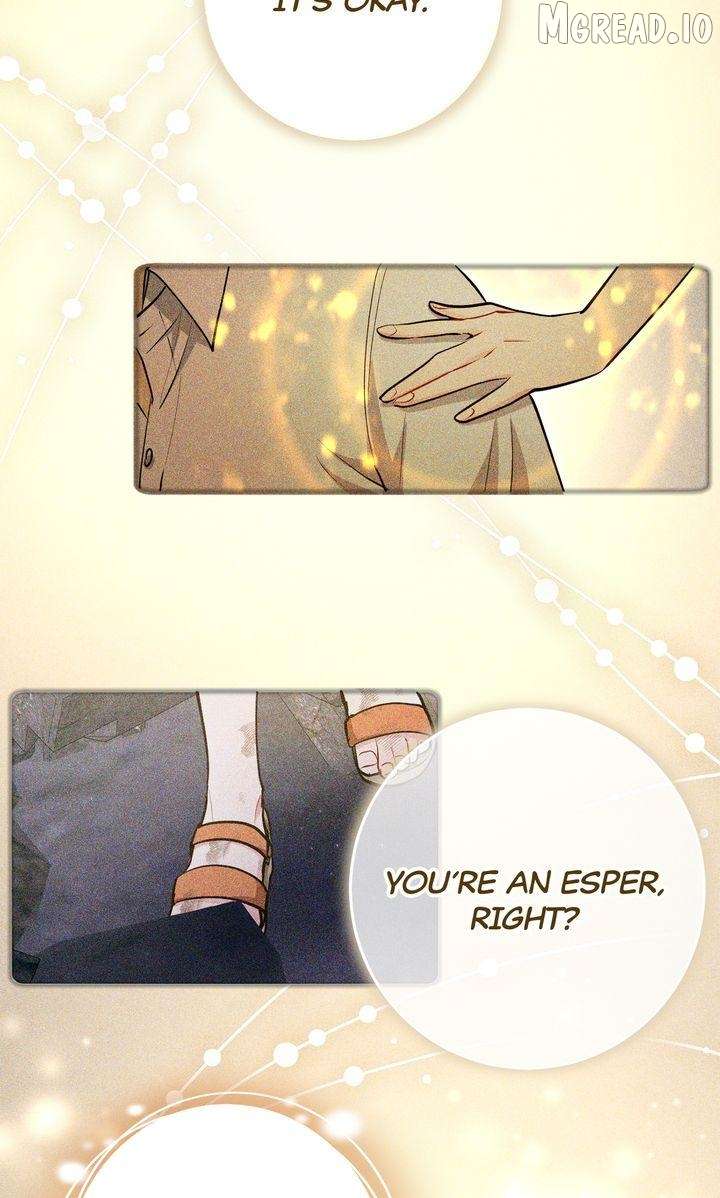 ch 52 19