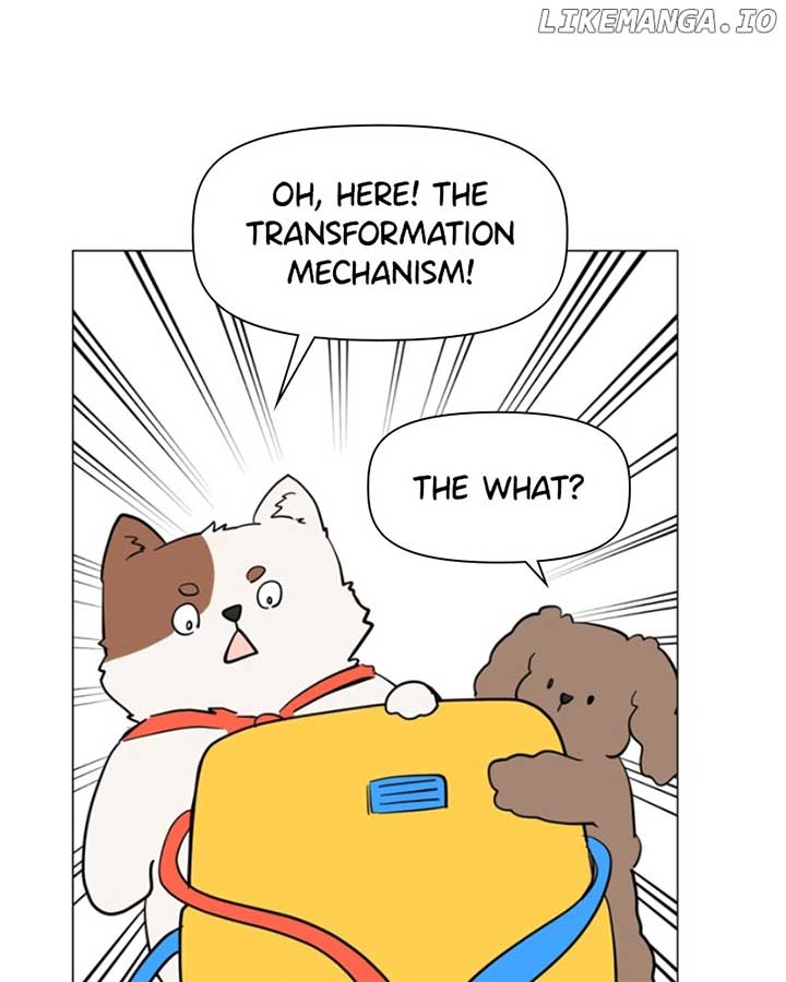 121