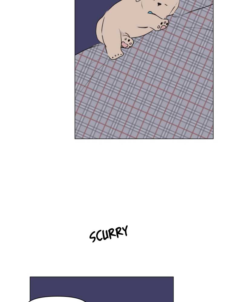 086
